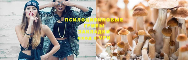 соль курить ск Новодвинск