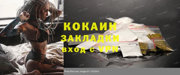 mdpv Новозыбков