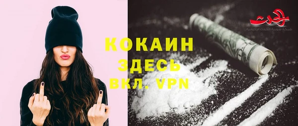 соль курить ск Новодвинск
