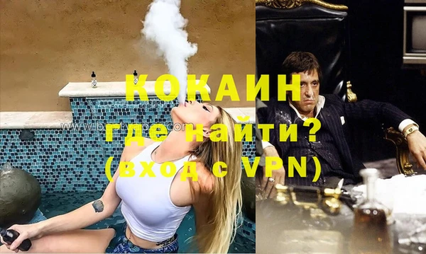 индика Нея