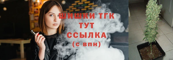 mdpv Новозыбков