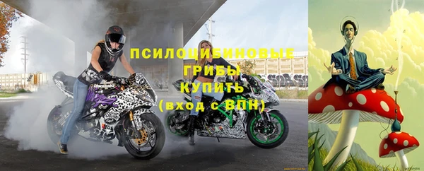 соль курить ск Новодвинск