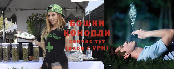 mdpv Новозыбков