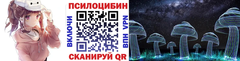 Галлюциногенные грибы Psilocybe  купить   Уяр 