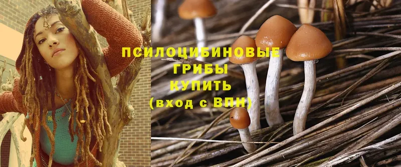 Галлюциногенные грибы мицелий  Уяр 